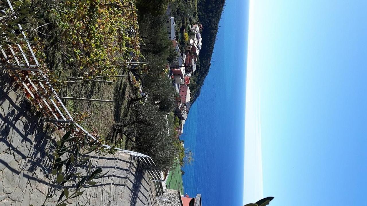 Case Vacanza Reggimonti Cinque Terre Bonassola Exterior photo